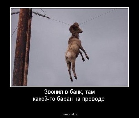 http://humorial.ru/images/dems/103/dem_103142.jpg