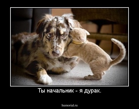 Ты начальник - я дурак, я начальник - ты дурак :) — Елена Устинова на soa-lucky.ru