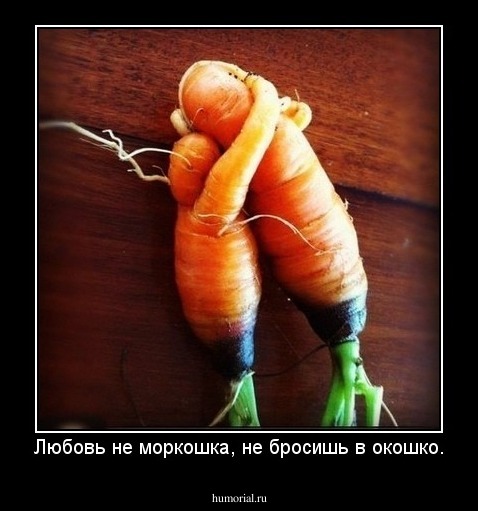 Любовь не моркошка, не бросишь в окошко.