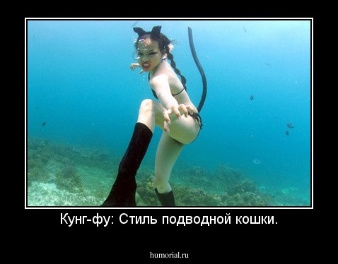 Кунг-фу: Стиль подводной кошки.