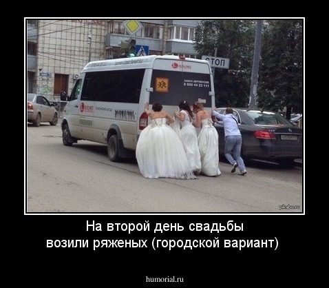 На второй день свадьбы возили ряженых (городской вариант)