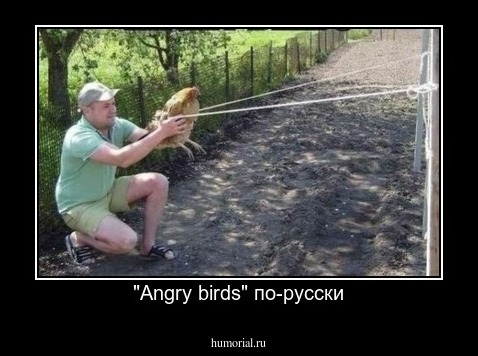 "Аngry birds" по-русски