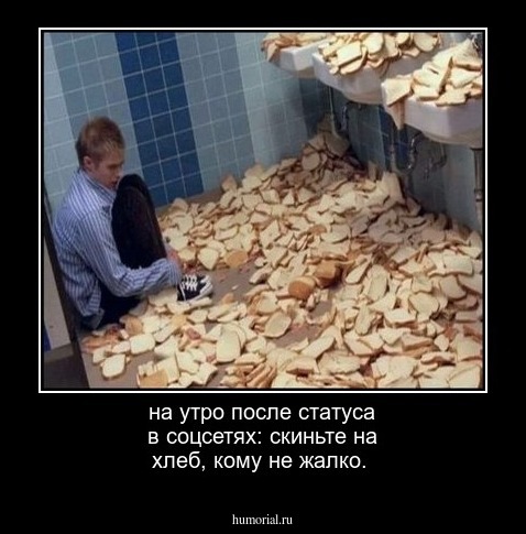 на утро после статуса в соцсетях: скиньте на хлеб, кому не жалко.
