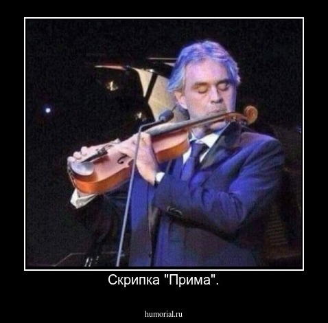 Скрипка "Прима".