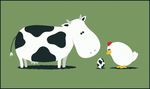 Итак, слева коровы справа куры, свисток! понеслась!!! Тайм еще не начался а коровы уже имеют преимущество -мяч покрашен под их цвет