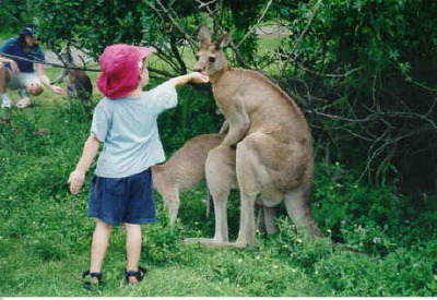 говорят, что если тебя в руку лизнет трахающийся кенгуру-то это к покупке нового велосипеда