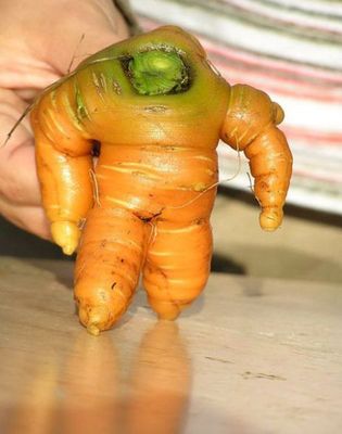 Теперь мы знаем,что от морковки поправляються.