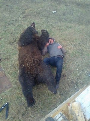 «Медведь дрессирует человека».