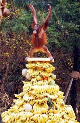 Когда просишь начальника поднять зарплату на 3 банана, а он говорит, что их нет и разводит руками 