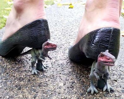 Защити свою обувь от мелких грызунов