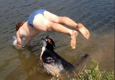 Собака выбрасывает на высокий берег спасённого мужчину