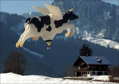 И тут Иван понял,  что зря он сказал: "Я  пробегу голым по селу только тогда,  когда коровы начнут летать".