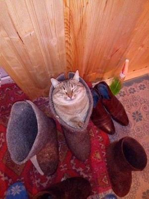 Кот в Сапогах: русская версия.