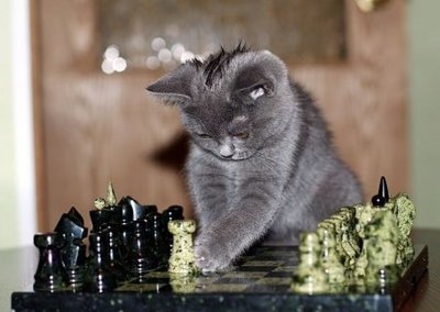 И днем, и ночью кот ученый все ходит в шахматах конем.