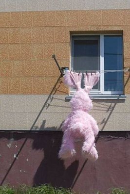 Следуй за белым кроликом, делай, как розовый.