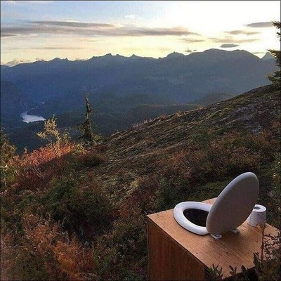  А туалетная бумага с ароматом альпийских цветов?
