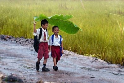По дорогу в школу дети заодно едят свой зонтик.