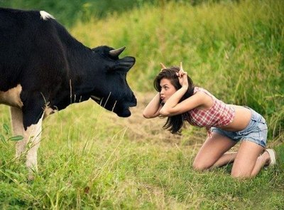 Корова найди себе другого быка, я занят!!!!