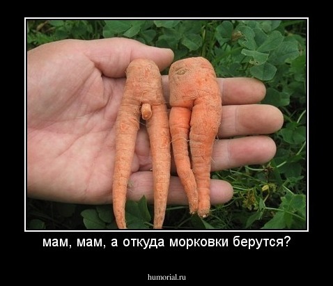 мам, мам, а откуда морковки берутся?