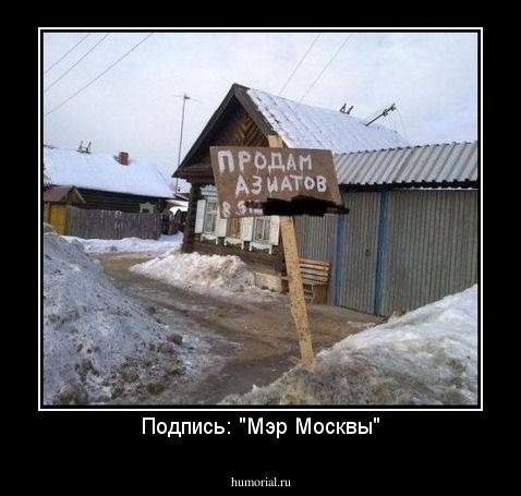 Подпись: "Мэр Москвы"