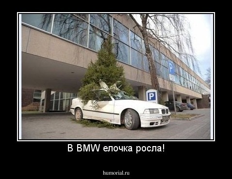 В BMW елочка росла!