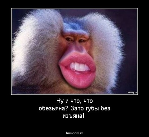 Стоковые фотографии по запросу Monkey red lips