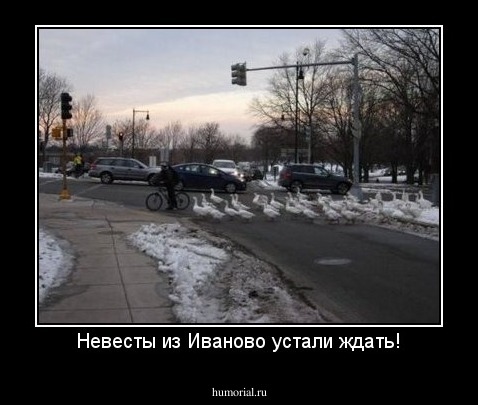 А я поеду в город невест. Иваново прикол. Иваново демотиватор. Анекдот про Иваново. Приколы про город Иваново.