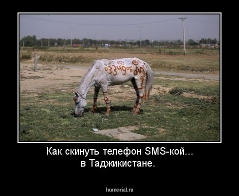 Как скинуть телефон SMS-кой... в Таджикистане.