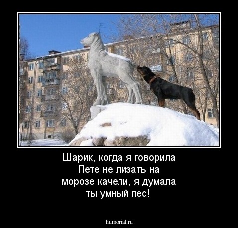 «Я буду тебе ноги лизать»: три девочки из Макеевки жестоко избили и подожгли волосы сверстнице