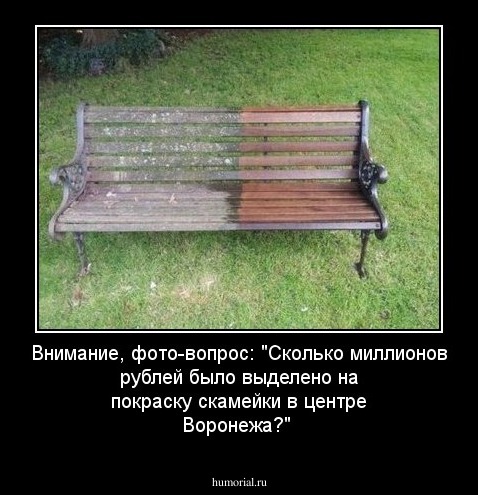 Внимание, фото-вопрос: "Сколько миллионов рублей было выделено на покраску скамейки в центре Воронежа?" 