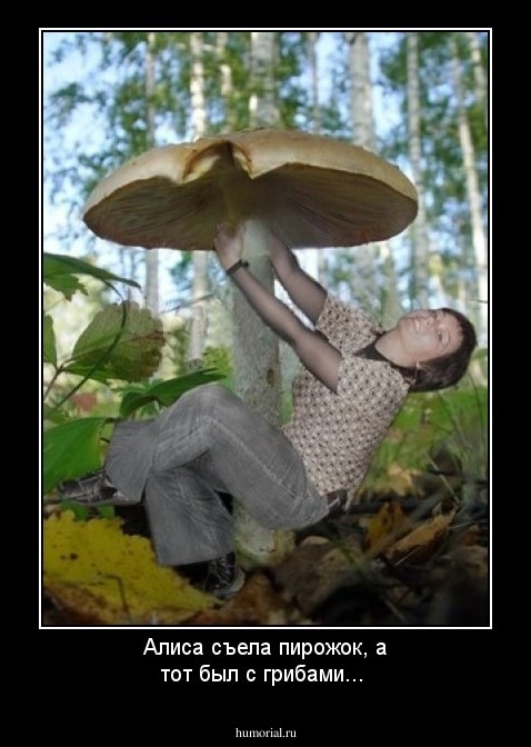 Алиса съела пирожок, а тот был с грибами...
