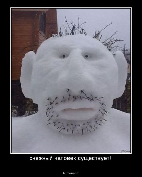 снежный человек существует! 