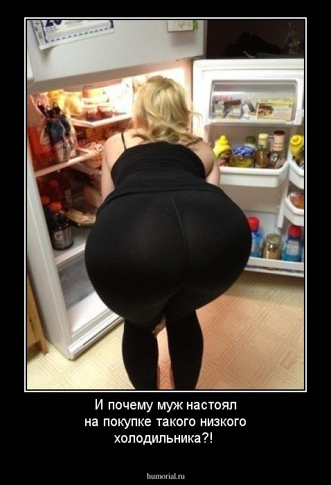 И почему муж настоял на покупке такого низкого холодильника?!