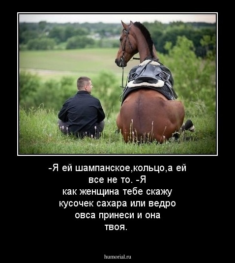 Скажи кусок. Ты меня только казахам не Продавай. Ты только казахам не Продавай. Картинки Иван главное ты меня казахам не Продавай. Мем овса дай с лошадью.