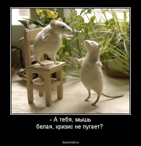 - А тебя, мышь белая, кризис не пугает?