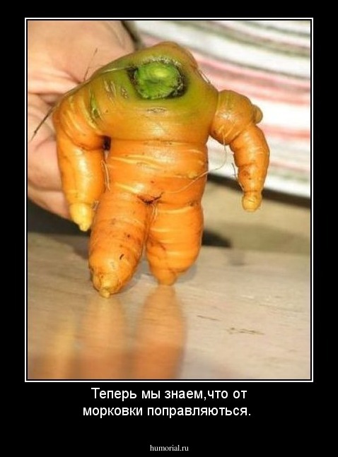 Теперь мы знаем,что от морковки поправляються.