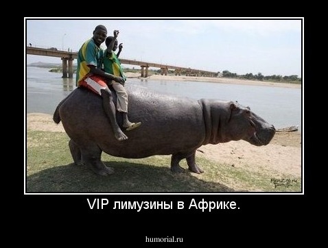 VIP лимузины в Африке.