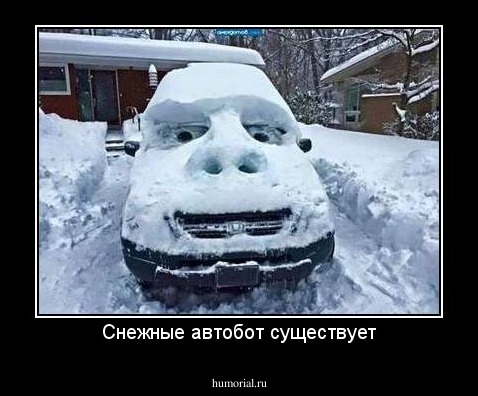 Снежные автобот существует
