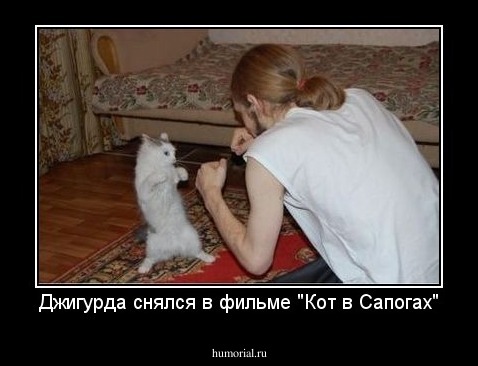 Джигурда снялся в фильме "Кот в Сапогах"