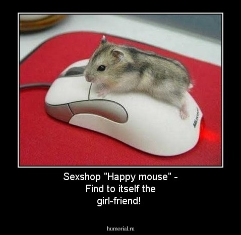Sexshop "Happy mouse" - Find to itself the girl-friend!