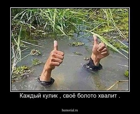 http://humorial.ru/images/dems/439/dem_439467.jpg