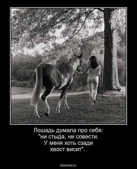 Лошадь думала про себя: "ни стыда, ни совести. У меня хоть сзади хвост висит".