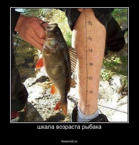 шкала возраста рыбака