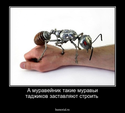 А муравейник такие муравьи таджиков заставляют строить