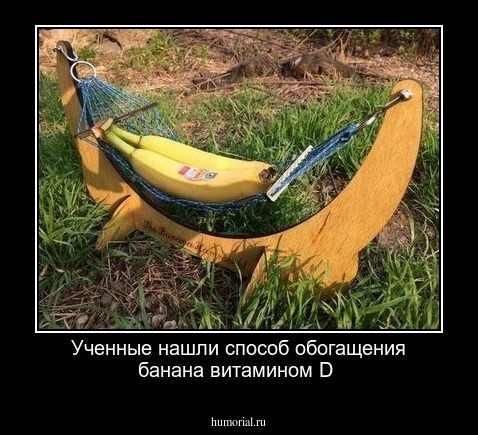 Ученные нашли способ обогащения банана витамином D
