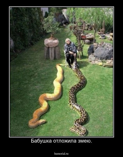 Бабушка отложила змею.