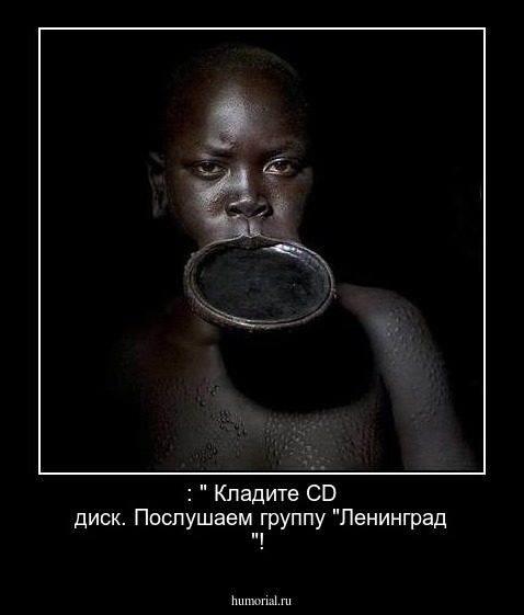 : " Кладите  CD диск. Послушаем группу "Ленинград "! 