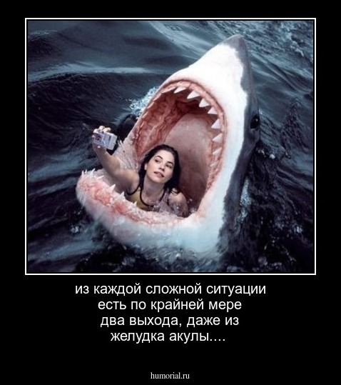 из каждой сложной ситуации есть по крайней мере два выхода, даже из желудка акулы....