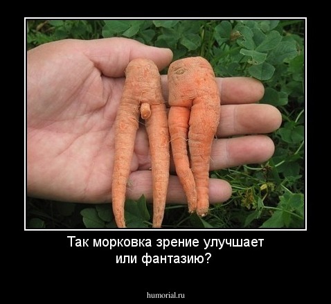 Так морковка зрение улучшает или фантазию?