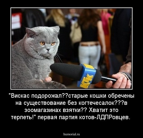 "Вискас подорожал??старые кошки обречены на существование без когтечесалок???в зоомагазинах взятки??
Хватит это терпеть!"
первая партия котов-ЛДПРовцев.
